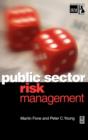 Image for Public Sector Risk Management