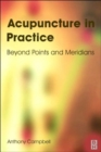 Image for Acupuncture in practice  : beyond points and meridians