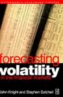 Image for Forecasting Volatility in the Financial Markets