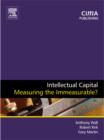 Image for Intellectual Capital : Measuring the Immeasurable?