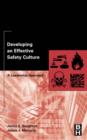 Image for Developing an Effective Safety Culture