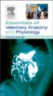 Image for Essentials of veterinary anatomy and physiology