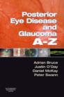Image for Posterior Eye Disease and Glaucoma A-Z