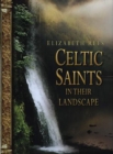 Image for Celtic saints in their landscape