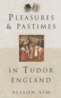 Image for Pleasures &amp; pastimes in Tudor England