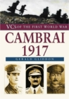 Image for Cambrai 1917