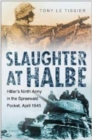 Image for Slaughter at Halbe  : the destruction of Hitler&#39;s 9th Army, April 1945