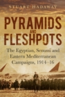 Image for Pyramids and fleshpots: the Egyptian, Senussi and Eastern Mediterranean campaigns, 1914-16