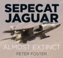 Image for Sepecat Jaguar  : almost extinct