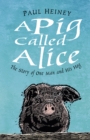 Image for A pig called Alice  : the story of one man and his hog
