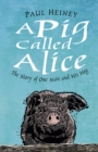 Image for A Pig Called Alice: The Story of One Man and his Hog