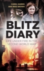 Image for Blitz diary  : life under fire in the Second World War