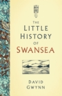 Image for The Little History of Swansea