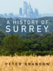 Image for A History of Surrey