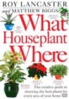 Image for What Houseplant Where