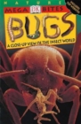 Image for Bugs  : a close-up view of the insect world