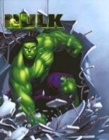 Image for Hulk funfax