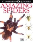 Image for Eyewitness Juniors:  Amazing Spiders