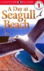 Image for Eyewitness Readers Level 1:  A Day At Seagull Beach