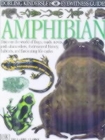 Image for Amphibian