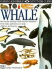 Image for Whale