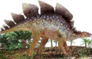 Image for Dinosaur Board Book:  Stegosaurus