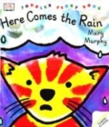 Image for DK Toddler Story Book:  Here Comes The Rain