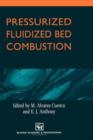 Image for Pressurized Fluidized Bed Combustion