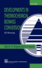 Image for Developments in Thermochemical Biomass Conversion