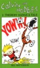 Image for Calvin And Hobbes Volume 1 `A&#39; : The Calvin &amp; Hobbes Series: Thereby Hangs a Tail