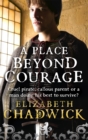 Image for A Place Beyond Courage