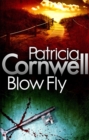 Image for Blow fly