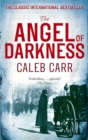 Image for The angel of darkness