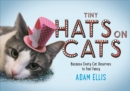 Image for Tiny hats on cats  : because every cat deserves to feel fancy