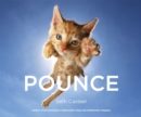 Image for Pounce