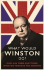 Image for What Would Winston Do?: Dads ask their questions, Winston provides the answers