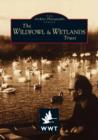 Image for The Wildfowl Wetlands Trust, Slimbridge