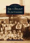 Image for Flintshire/Sir y Fflint