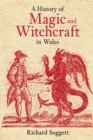 Image for A History of Magic and Witchcraft in Wales