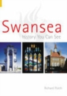 Image for Swansea