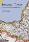 Image for Somerset towns  : changing fortunes, 800-1800