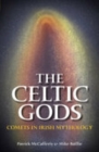 Image for The Celtic gods  : comets in Irish mythology