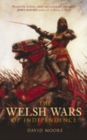 Image for The Welsh wars of independence  : c.410-c.1415