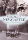 Image for Animals in Newcastle : An Illustrated History