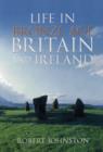 Image for Life in Bronze Age Britain and Ireland
