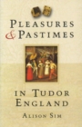 Image for Pleasures and Pastimes in Tudor England