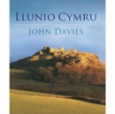 Image for The Making of Wales (Welsh Edition)