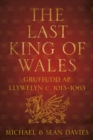 Image for The last King of Wales  : Gruffudd ap Llywelyn, c. 1013-1063