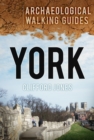 Image for York  : an archaeological walking guide