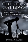 Image for Ghosts &amp; gallows: true stories of crime &amp; the paranormal